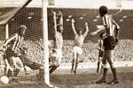 <span class="style1">City players celebrate their controversial equaliser as Jim Montgomery allows a corner to slip from his grasp and over the line</span>